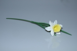 Narcis (plast)