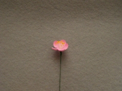 Jabloňový květ na drátě, Ø 3,2cm, 5ks ve svazku
