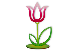 Dřevěný tulipán, nevybarvený
