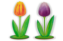 Dřevěný tulipán, nevybarvený