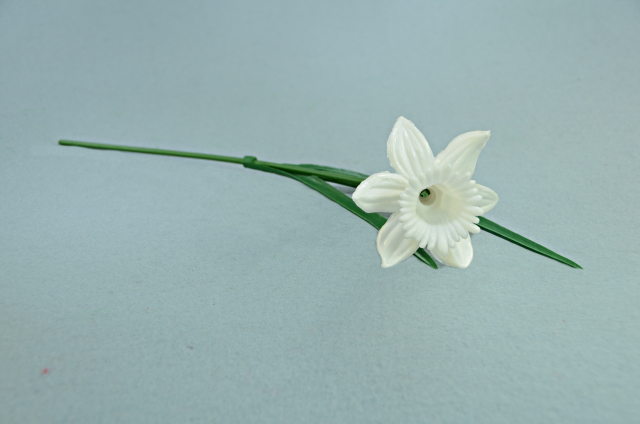 Narcis (plast)
